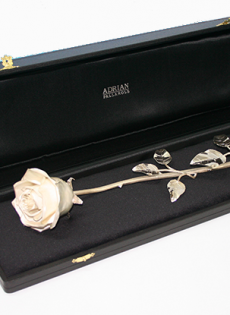 Rosa Slider 2